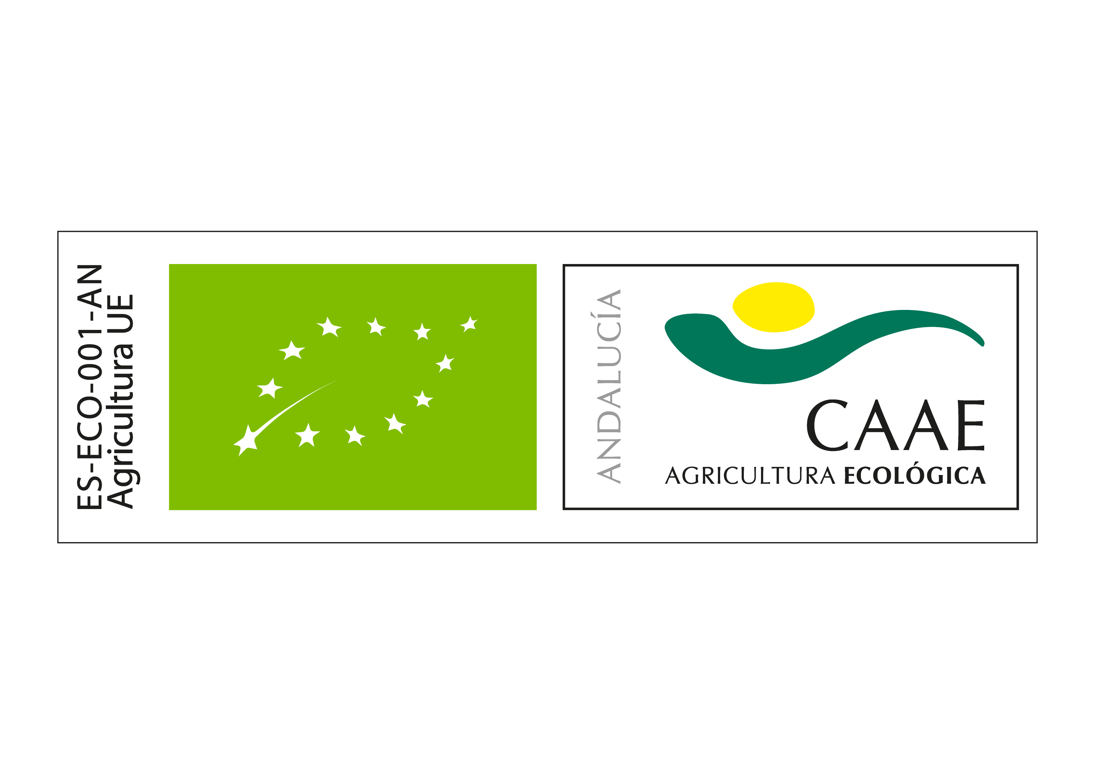 CAAE